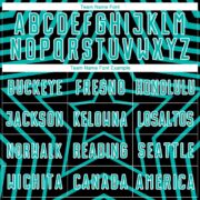 Custom Black Aqua-White Stars Sublimation Soccer Uniform Jersey - Image 4