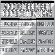 Custom Gray White-Black Stripes Sublimation Soccer Uniform Jersey - Image 4